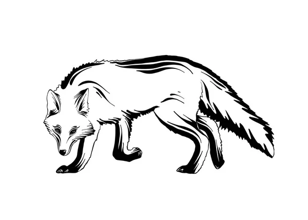 矢量雕刻风格插图海报 装饰和印刷 在白色背景查出的森林狐狸的手绘剪影在黑隔绝 详细的复古蚀刻风格的绘图 — 图库矢量图片