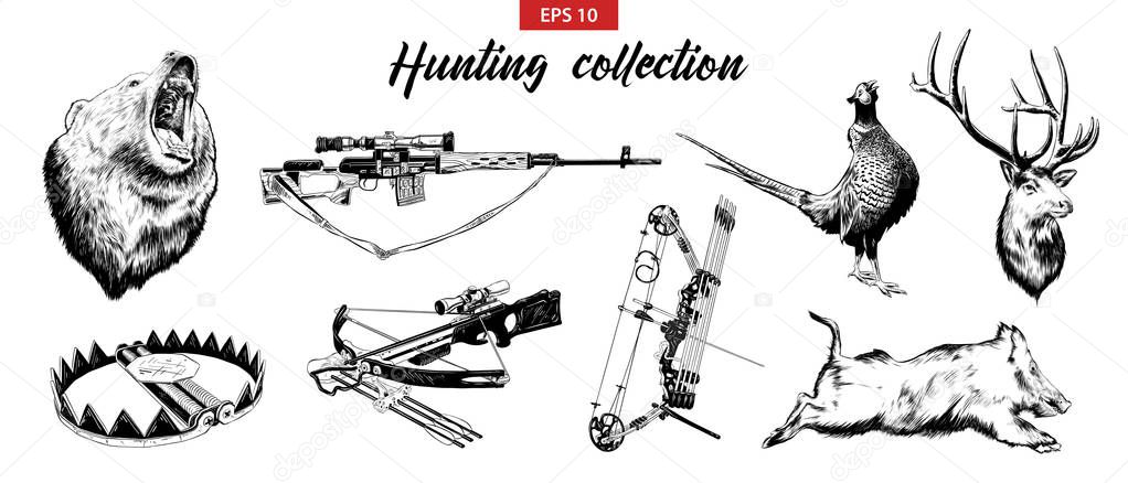 Vector engraved style illustrations for posters, logo, emblem and badge. Hand drawn sketch set of hunting sport equipment, weapon and animals. Detailed vintage hand drawn etching elements.