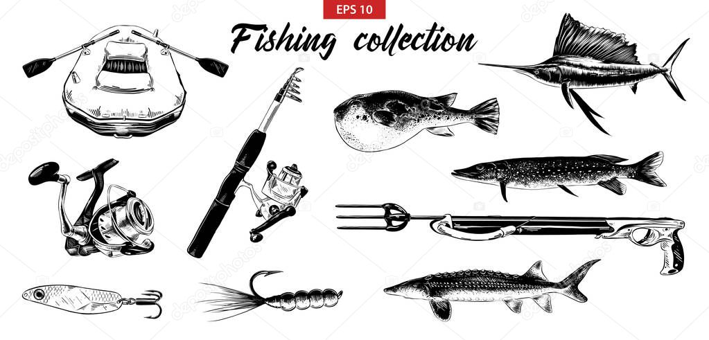 Vector engraved style illustration for logo, emblem, label or poster. Hand drawn sketch set of fishing elements isolated on white background. Detailed vintage doodle drawing.