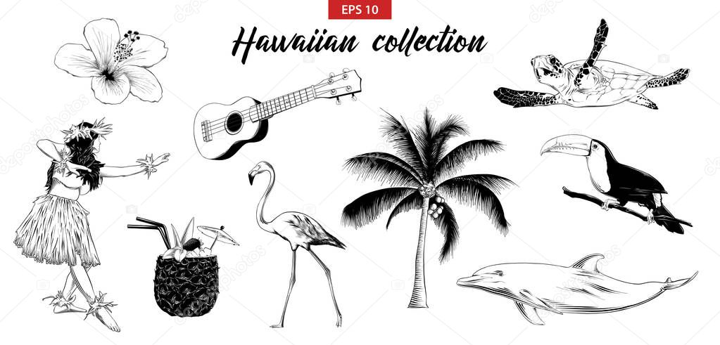 Vector engraved style illustration for logo, emblem, label or poster. Hand drawn sketch set of Hawaiian girl, ukulele guitar, etc. Isolated on white background. Detailed vintage doodle drawing.