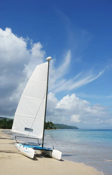 Вітрильник Катамаран Тропічні Пляжі — стокове фото
