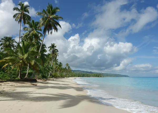 Bella Spiaggia Naturale Samana Repubblica Dominicana — Foto Stock