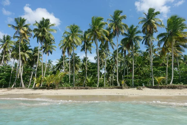 Hermosa Playa Natural Samaná República Dominicana —  Fotos de Stock