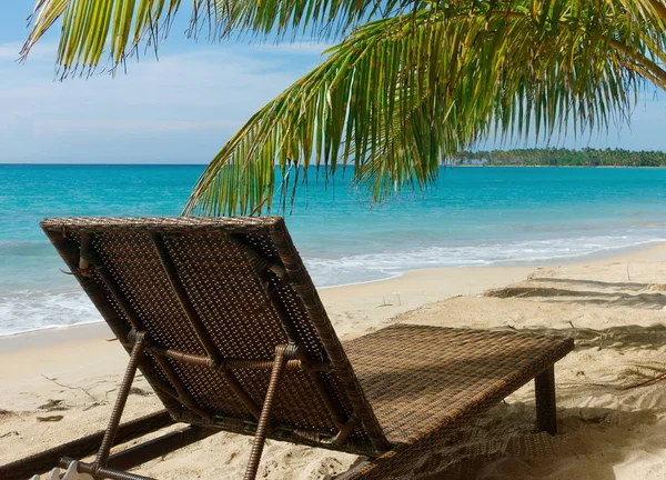 Strand Szék Vagy Transat Egy Pálmafa Alatt — Stock Fotó