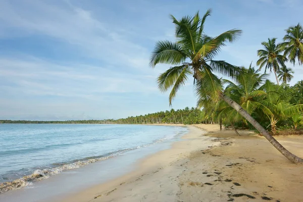 Bella Spiaggia Naturale Samana Repubblica Dominicana — Foto Stock