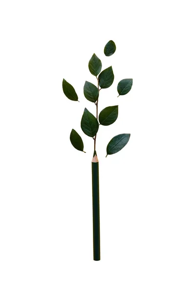 Креативний олівець з зеленим листям. Ізольоване зображення . — стокове фото