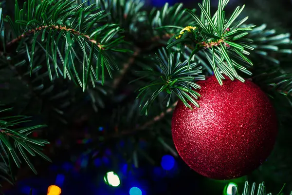 Bauble di Natale e ramo di abete rosso . — Foto Stock