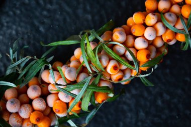 Deniz dikenli dalın yakın fotoğrafını çek..