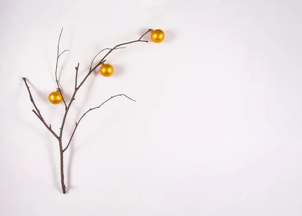 Holiday greeting card. Minimal nature christmas concept.