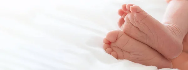 Banner with newborn legs, heels. Copy space. — Stock Photo, Image