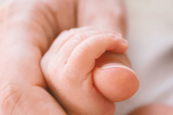 Mano pequeña recién nacida en mano adulta grande . — Foto de Stock