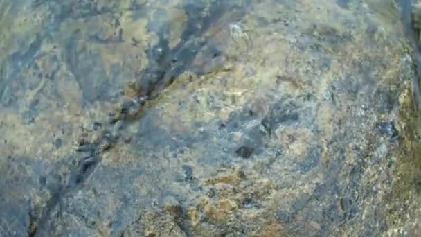 Eau Dans Lac Ladoga Laver Les Pierres Côtières Par Temps — Video