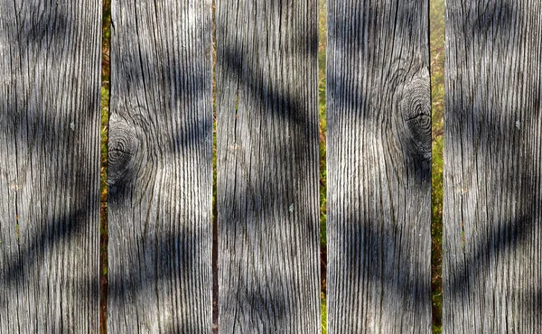 Can see forest through the old boardwalk. — Stock Photo, Image