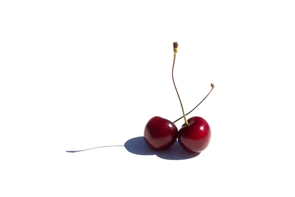 Sweet Ripe Burgundy Cherry Hard Strong Shadows Isolated White Background — Stock Photo, Image