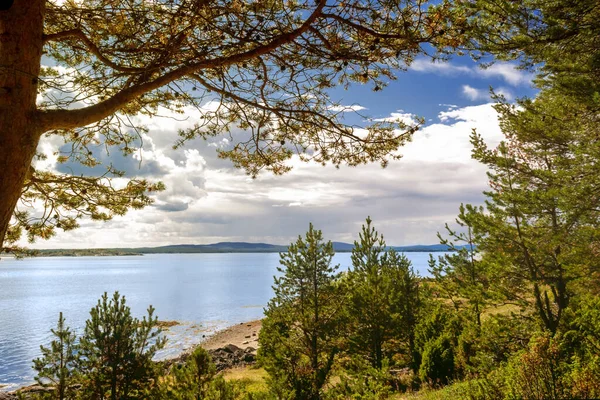 Mar Blanco Rusia Kandalaksha Vista Mar Orilla Opuesta Paisaje Verano — Foto de Stock