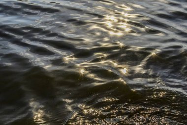 Sudaki pırıl pırıl ışıklar