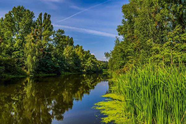 Şehre yakın küçük bir kanal