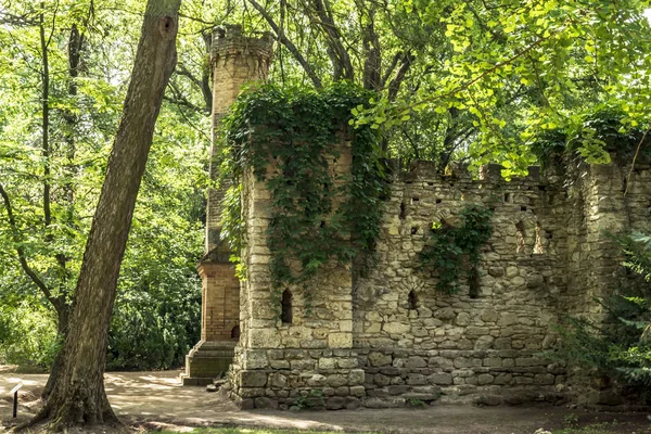 The overgrown castle in the forest