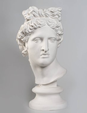 Apollo Belvedere, kopya Başkanı alçı