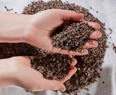 Yastık doldurucu. Karabuğday kabuğu beyaz bir arkaplanda.