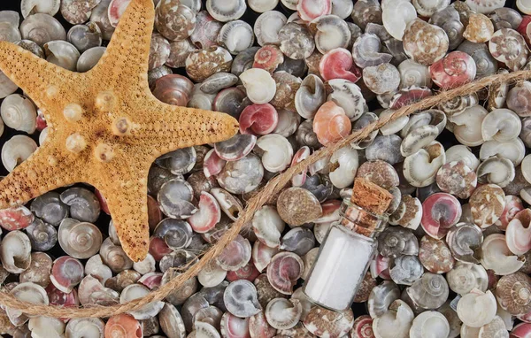 Deniz Yıldızı Küçük Cam Bir Şişeyle Renklendirilmiş Kabukların Arka Planı — Stok fotoğraf
