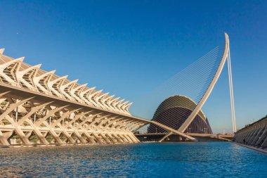 Bir güzel yaz günü, 4 Şubat 2016 İspanya Bilim Müzesi Valencia