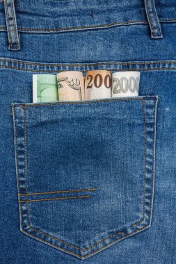 Euro, Dolar, Koruna, Forint Banknotların Mavi Kot Cebinden ÇıkışA Yakın Görünüm