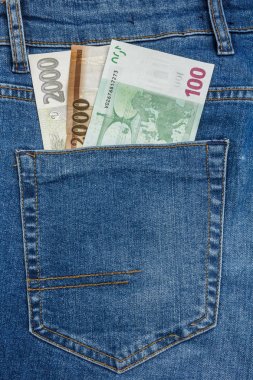 Euro, Dolar, Koruna, Forint Banknotların Mavi Kot Cebinden ÇıkışA Yakın Görünüm