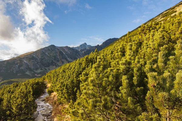 Lindas paisagens montanhosas cobertas com céu azul e água limpa do rio. Um pequeno riacho está fluindo do alto da montanha com fina camada de neve no dia de verão ensolarado e ligeiramente nublado . — Fotografia de Stock