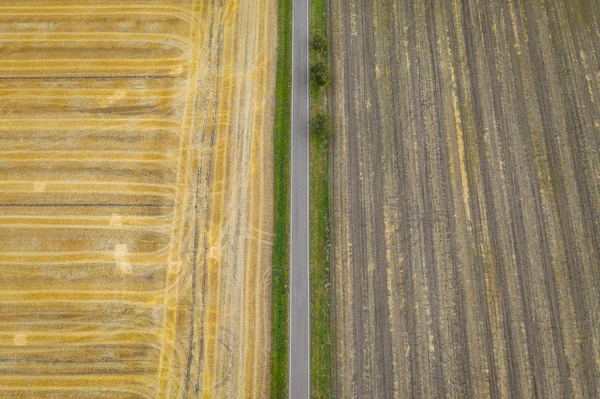 Aerial view of cereal fields after the harvest. There is road and tractor tread — Stock Photo, Image