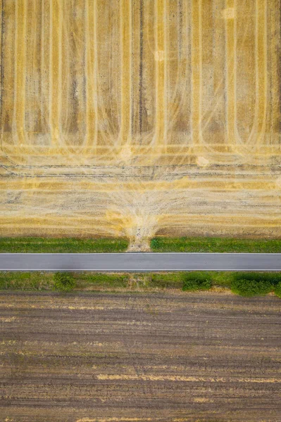 Vista aérea dos campos de cereais após a colheita. Há estrada e piso trator . — Fotografia de Stock
