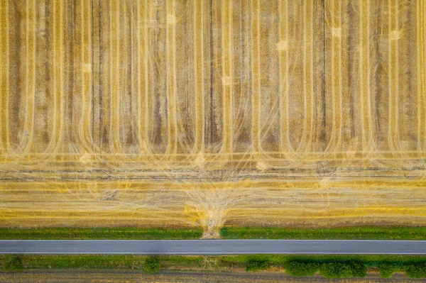 Widok z lotu ptaka na pola zbożowe po zbiorze. Istnieje bieżnik drogowy i traktor. — Zdjęcie stockowe