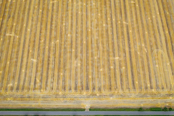 Vista aérea dos campos de cereais após a colheita. Há estrada e piso trator . — Fotografia de Stock