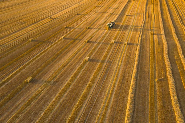 Vista aérea dos campos de cereais após a colheita. Há palha e piso trator — Fotografia de Stock