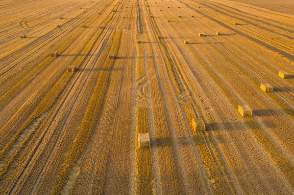 Vista aérea dos campos de cereais após a colheita. Há palha e piso trator — Fotografia de Stock