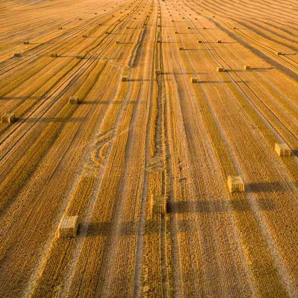 Vista aérea dos campos de cereais após a colheita. Há palha e piso trator — Fotografia de Stock