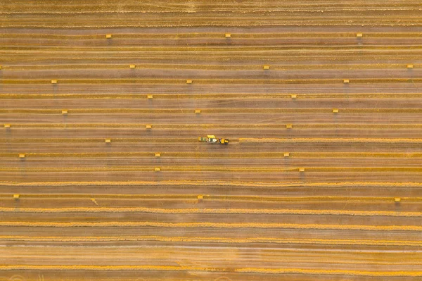 Vista aérea dos campos de cereais após a colheita. Há palha e piso trator — Fotografia de Stock