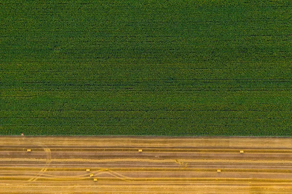 Aerial view of cereal fields after the harvest and corn meadow. There is haystack and tractor tread — Stock Photo, Image