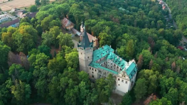 Vue Aérienne Du Vieux Château En Bois Vert Avec Le Vieux Pont Sur Le Fond — Video