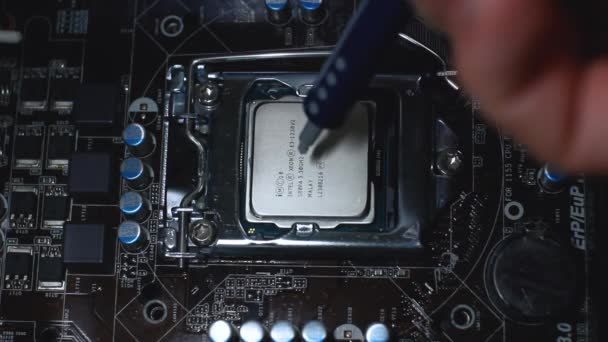 Vicino alla spremitura tecnico o applicare il composto pasta termica sulla parte superiore della CPU principale nella presa. Concetto di riparazione o aggiornamento dell'hardware del computer . — Video Stock