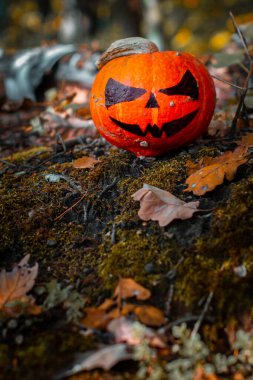 Ormanda Cadılar Bayramı Balkabağı. Ürkütücü, dişlek tebessümle ahşap arka planda balkabağı süslemeleri