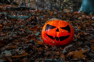 Ormanda Cadılar Bayramı Balkabağı. Ürkütücü, dişlek tebessümle ahşap arka planda balkabağı süslemeleri