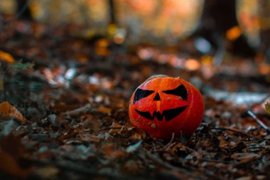 Ormanda Cadılar Bayramı Balkabağı. Ürkütücü, dişlek tebessümle ahşap arka planda balkabağı süslemeleri
