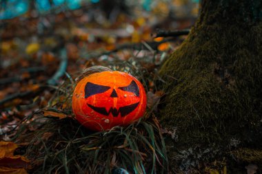 Ormanda Cadılar Bayramı Balkabağı. Ürkütücü, dişlek tebessümle ahşap arka planda balkabağı süslemeleri