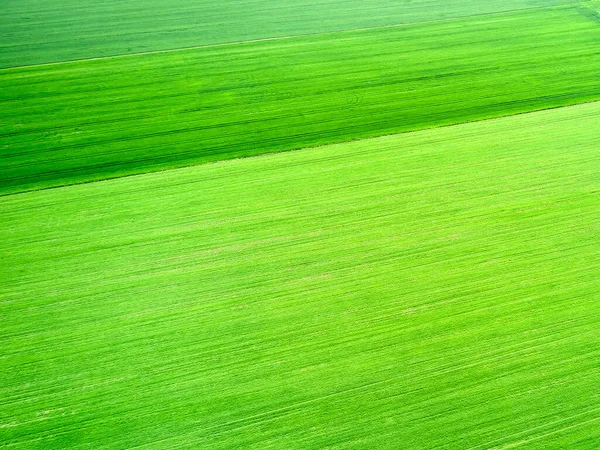 Vista aérea em um campo com grama verde brilhante. Textura natural . — Fotografia de Stock