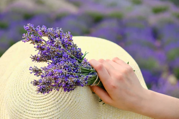 Closeup womans hand holding a bouquet of lavender near her hat with purple lavender meadow field on the background. — Stock Photo, Image