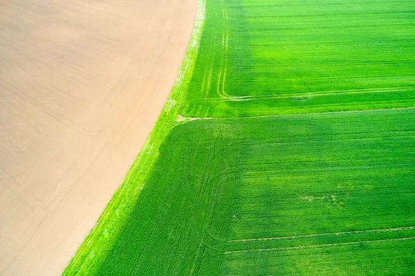 Αεροφωτογραφία σε ένα πεδίο με έντονο πράσινο γρασίδι. Φυσική υφή. — Φωτογραφία Αρχείου