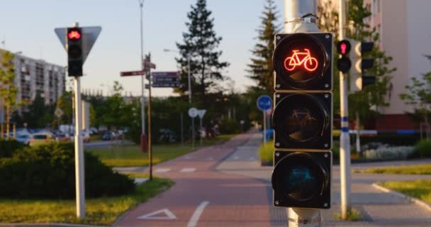 Semáforo de bicicleta mudando de vermelho para verde. Ícone de bicicleta no semáforo na rua no verão — Vídeo de Stock