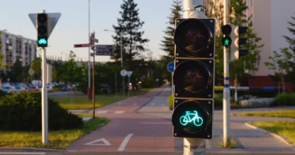 Bisiklet trafik lambası yeşilden kırmızıya değişiyor. Bisiklet simgesi yazın sokağın semaforunda. — Stok video