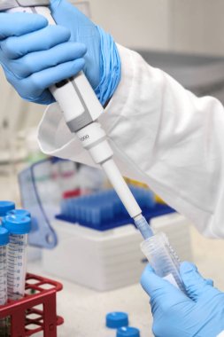 Kapalı kadın eli lastik mavi eldivenlerle otomatik pipetle Falcone test tüpünden örnek alır. Laboratuvarda klinik ya da kimyasal analiz.. 